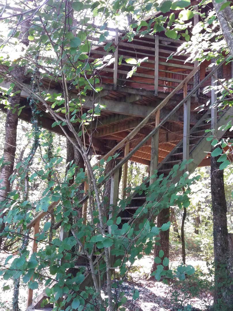 Cabane de l'étang 1