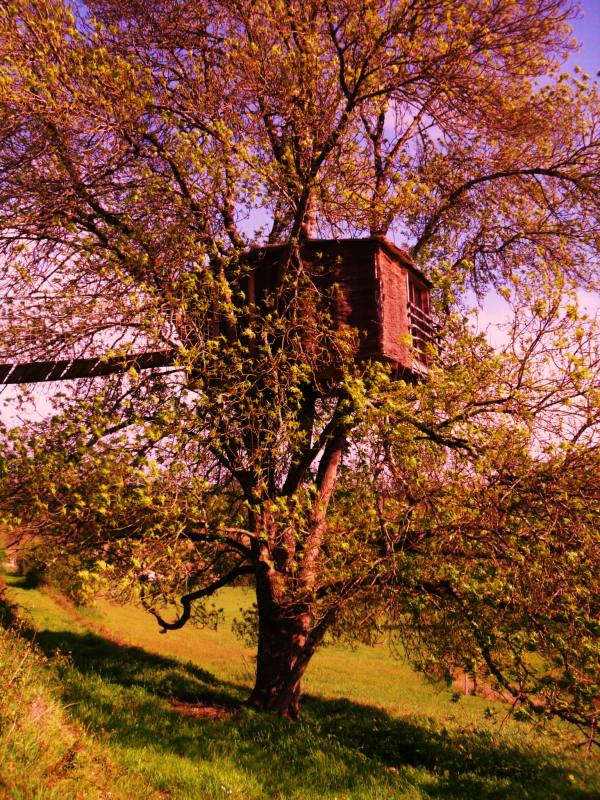 Cabane du frene 1